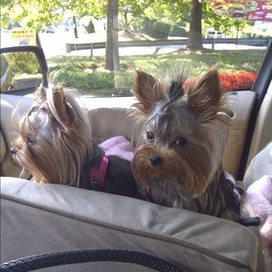 Luxury Lookout Microsuede Dog Car Seat